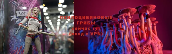 a pvp Алексеевка
