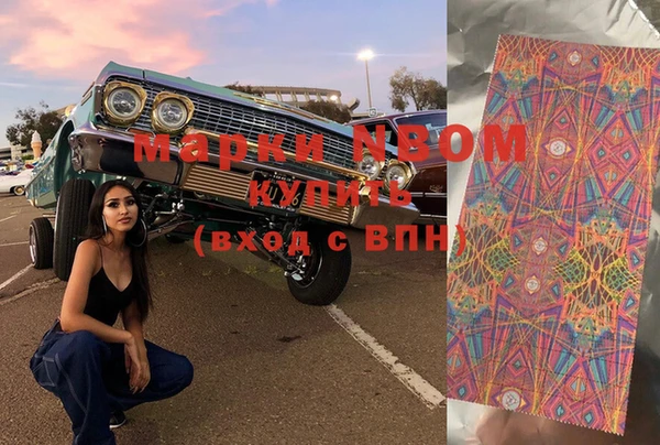 тгк Алзамай