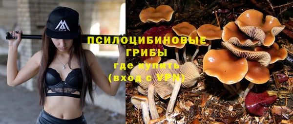 тгк Алзамай