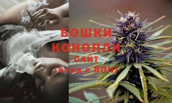 первитин Осинники