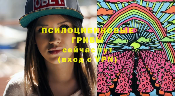 тгк Алзамай